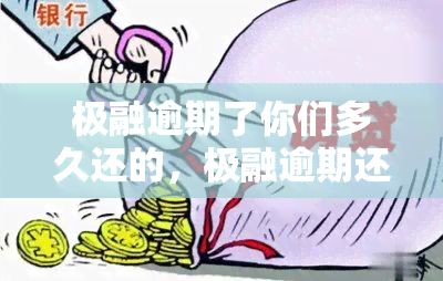 极融逾期了你们多久还的，极融逾期还款：你们多久能还？