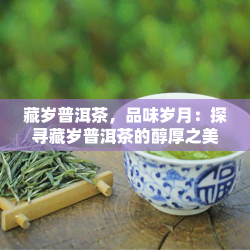 藏岁普洱茶，品味岁月：探寻藏岁普洱茶的醇厚之美