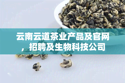 云南云道茶业产品及官网，招聘及生物科技公司