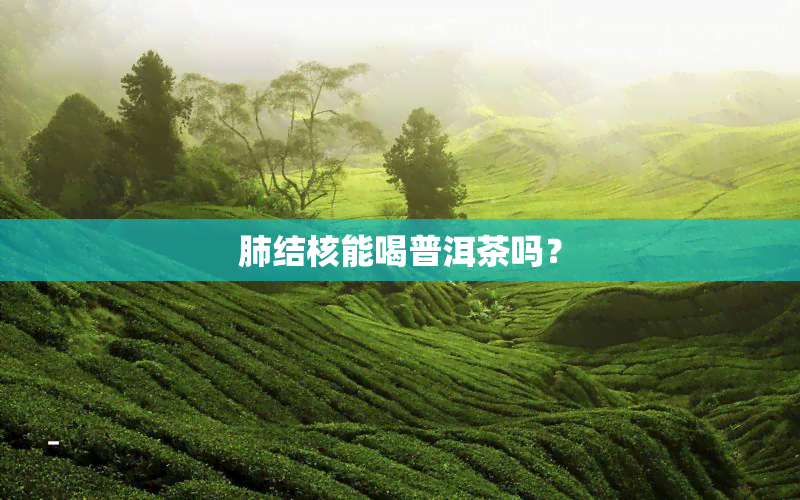 肺结核能喝普洱茶吗？