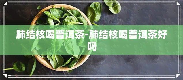 肺结核喝普洱茶-肺结核喝普洱茶好吗