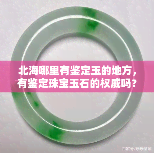 北海哪里有鉴定玉的地方，有鉴定珠宝玉石的权威吗？