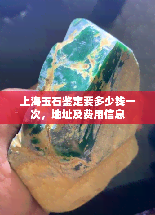 上海玉石鉴定要多少钱一次，地址及费用信息