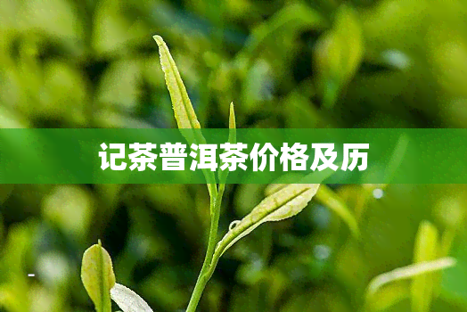 记茶普洱茶价格及历