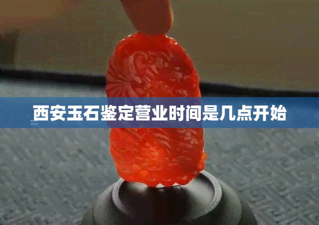 西安玉石鉴定营业时间是几点开始