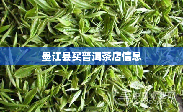 墨江县买普洱茶店信息