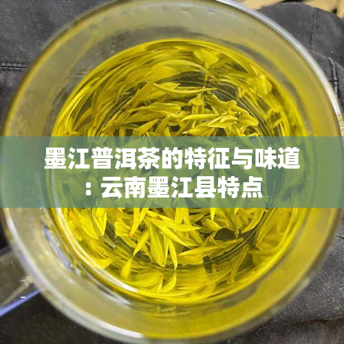 墨江普洱茶的特征与味道: 云南墨江县特点