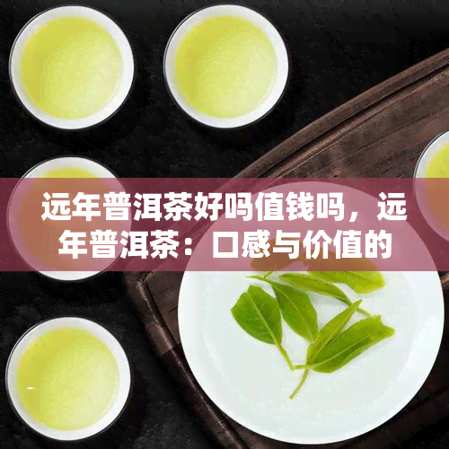 远年普洱茶好吗值钱吗，远年普洱茶：口感与价值的探索