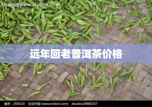 远年回老普洱茶价格