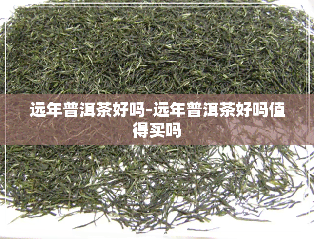 远年普洱茶好吗-远年普洱茶好吗值得买吗