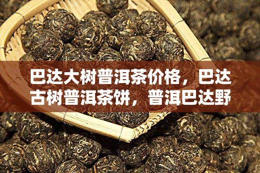 巴达大树普洱茶价格，巴达古树普洱茶饼，普洱巴达野生古茶树，巴达普洱生茶怎么样