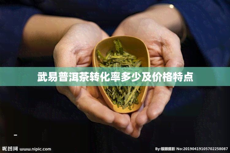 武易普洱茶转化率多少及价格特点