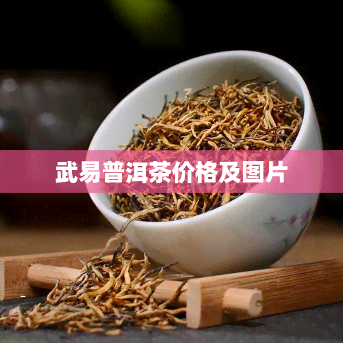 武易普洱茶价格及图片