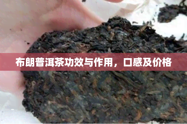 布朗普洱茶功效与作用，口感及价格