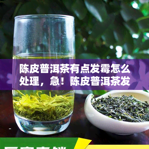 陈皮普洱茶有点发霉怎么处理，急！陈皮普洱茶发霉了，应该怎么处理？