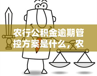 农行公积金逾期管控方案是什么，农行公积金逾期管控方案：全面解析