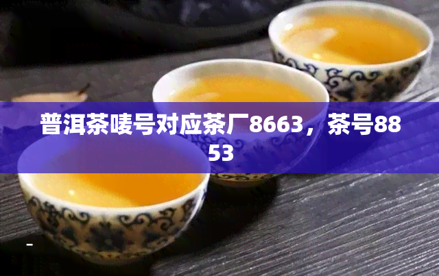 普洱茶唛号对应茶厂8663，茶号8853