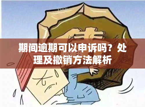 期间逾期可以申诉吗？处理及撤销方法解析