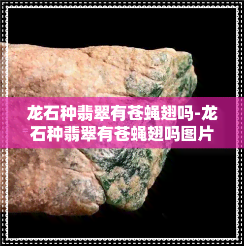 龙石种翡翠有苍蝇翅吗-龙石种翡翠有苍蝇翅吗图片