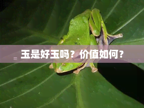 玉是好玉吗？价值如何？