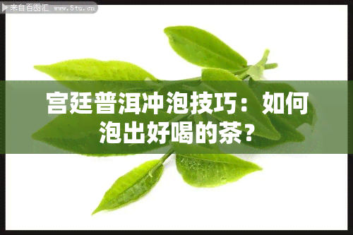 宫廷普洱冲泡技巧：如何泡出好喝的茶？