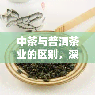 中茶与普洱茶业的区别，深入了解：中茶与普洱茶业的差异与特点