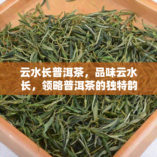 云水长普洱茶，品味云水长，领略普洱茶的独特韵味