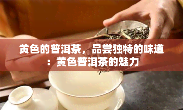 黄色的普洱茶，品尝独特的味道：黄色普洱茶的魅力