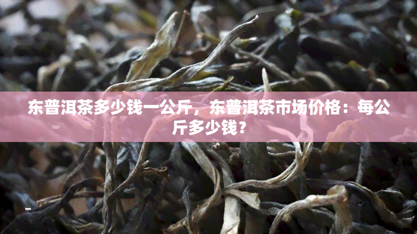 东普洱茶多少钱一公斤，东普洱茶市场价格：每公斤多少钱？