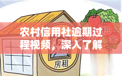 农村信用社逾期过程视频，深入了解农村信用社逾期过程：全面解析视频内容