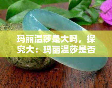 玛丽温莎是大吗，探究大：玛丽温莎是否值得信赖？