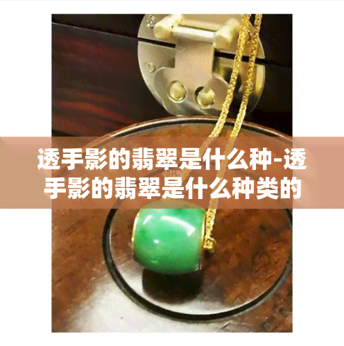 透手影的翡翠是什么种-透手影的翡翠是什么种类的