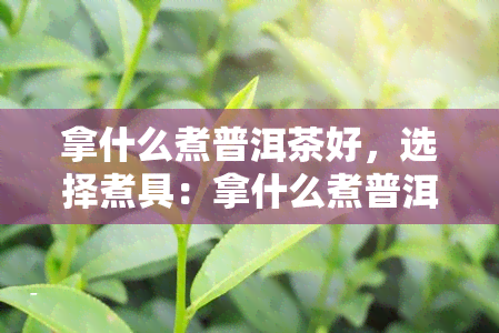 拿什么煮普洱茶好，选择煮具：拿什么煮普洱茶？