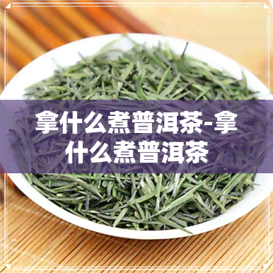 拿什么煮普洱茶-拿什么煮普洱茶