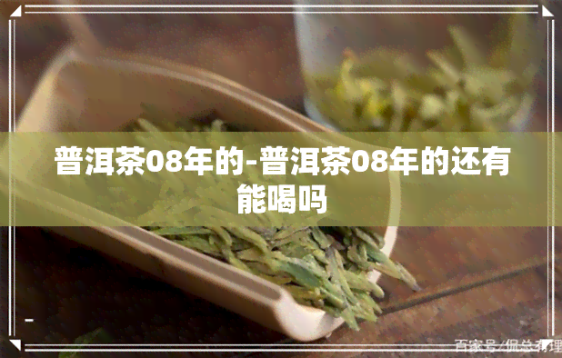 普洱茶08年的-普洱茶08年的还有能喝吗