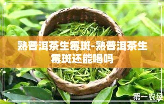 熟普洱茶生霉斑-熟普洱茶生霉斑还能喝吗