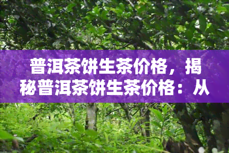 普洱茶饼生茶价格，揭秘普洱茶饼生茶价格：从入门到高级，你需要知道的一切