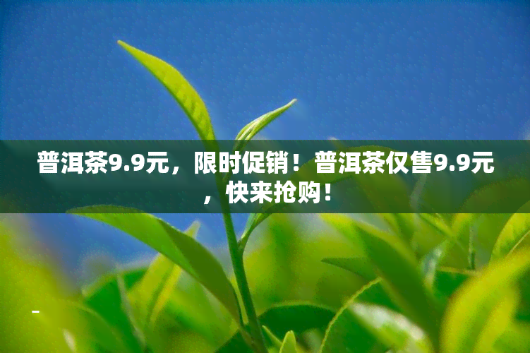 普洱茶9.9元，限时促销！普洱茶仅售9.9元，快来抢购！