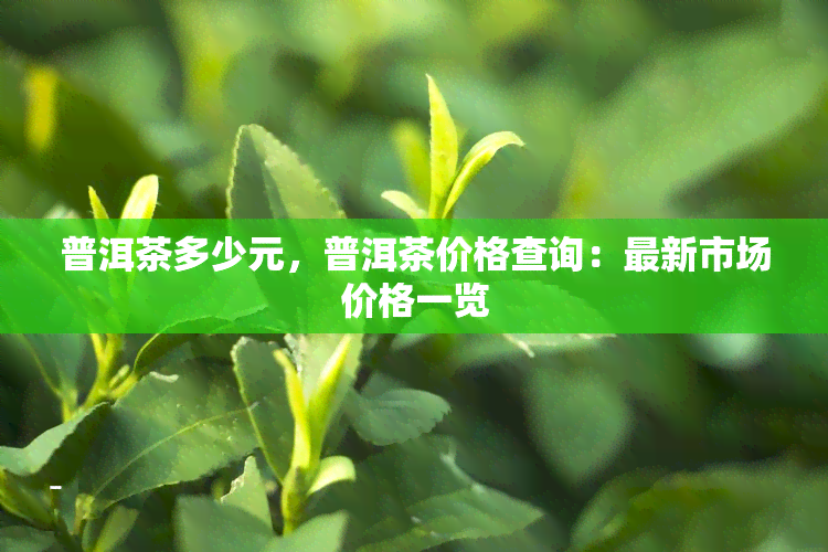 普洱茶多少元，普洱茶价格查询：最新市场价格一览