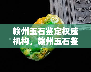 赣州玉石鉴定权威机构，赣州玉石鉴定，权威机构为您揭晓真伪