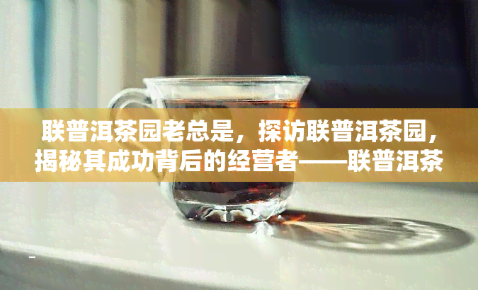 联普洱茶园老总是，探访联普洱茶园，揭秘其成功背后的经营者——联普洱茶园老总