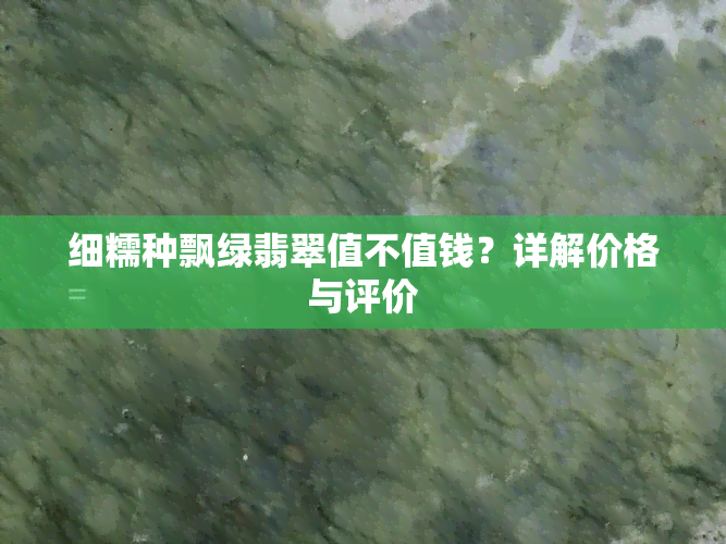 细糯种飘绿翡翠值不值钱？详解价格与评价