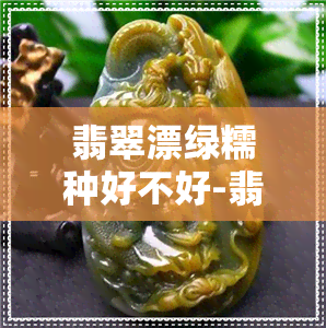 翡翠漂绿糯种好不好-翡翠漂绿糯种好不好?