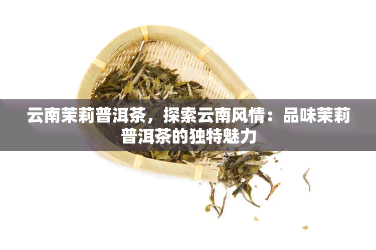 云南茉莉普洱茶，探索云南风情：品味茉莉普洱茶的独特魅力