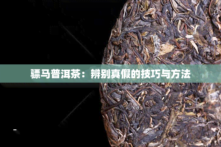 骠马普洱茶：辨别真假的技巧与方法