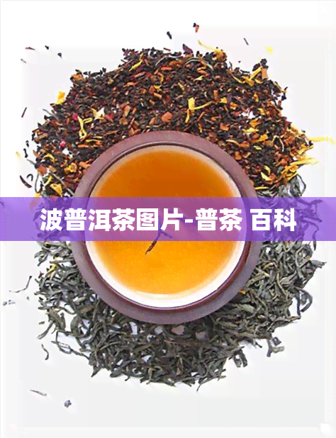 波普洱茶图片-普茶 百科