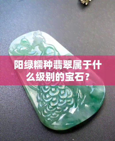 阳绿糯种翡翠属于什么级别的宝石？