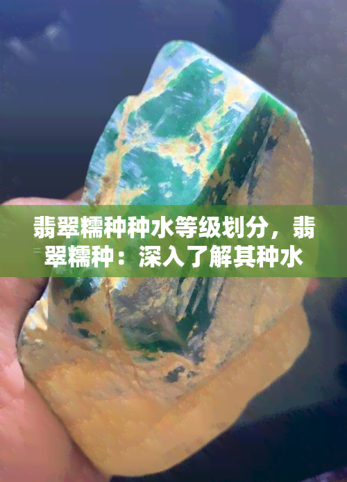 翡翠糯种种水等级划分，翡翠糯种：深入了解其种水等级的划分与识别方法