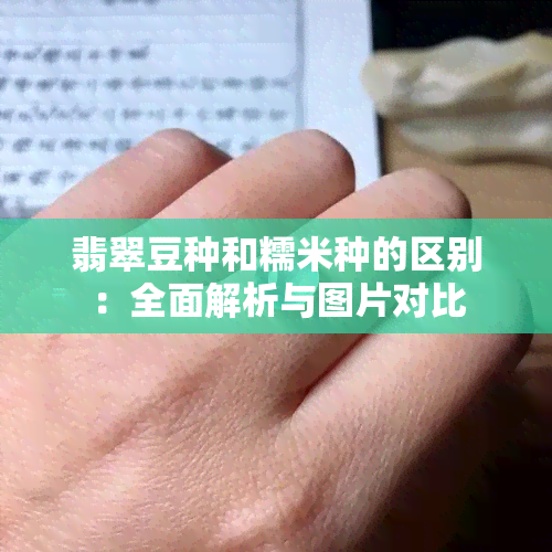 翡翠豆种和糯米种的区别：全面解析与图片对比