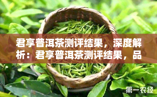 君享普洱茶测评结果，深度解析：君享普洱茶测评结果，品味越的口感与品质